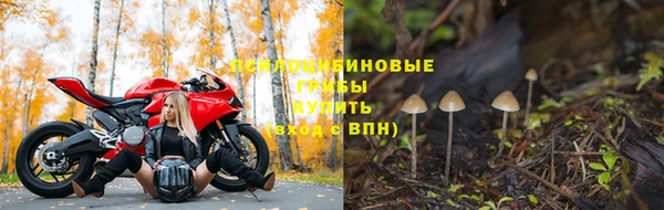 а пвп мука Кодинск