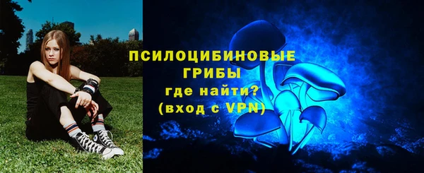 ешки Абинск